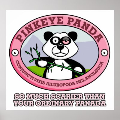 Pink Eye Panda Poster by wislander