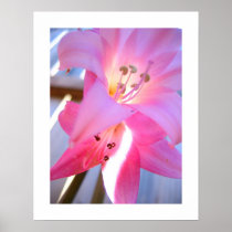 Pink February Posters