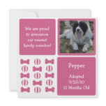 Pink Female Dog Pet Announcement Photo Cards invitations