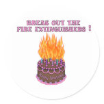 Pink Fire Extinguishers Birthday Cake