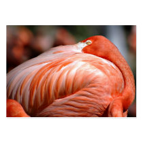 Pink Flamingo - ACEO 9