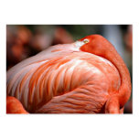 Pink Flamingo - ACEO 9 business cards