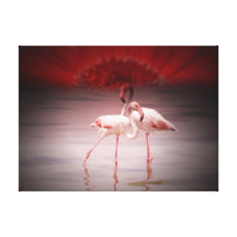 Pink Flamingo Ballet Stretched Canvas Prints