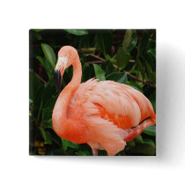 Pink Flamingo  Button