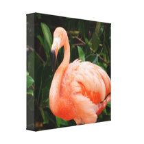 Pink Flamingo Canvas Print