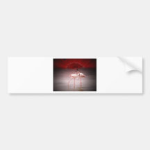 Pink Flamingo Dance Bumper Stickers