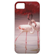 Pink Flamingo Dance iPhone 5 Cover