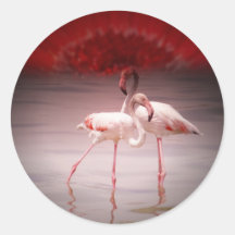 Pink Flamingo Dance Round Sticker