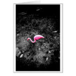 Pink Flamingo Greeting Card