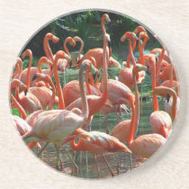Pink Flamingo group, lots of flamingoes picture! Beverage Coaster