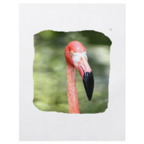 Pink flamingo head photograph green background flyers