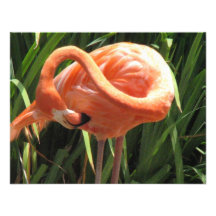 Pink Flamingo Invitation