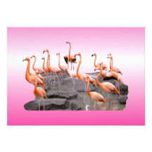 Pink Flamingo Invitation