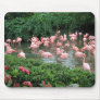 Pink Flamingo Mousepad