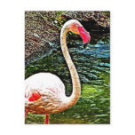 Pink Flamingo Photo Painting