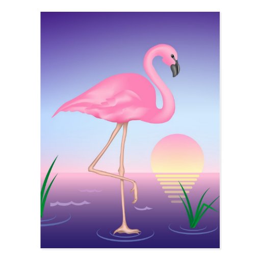 Pink Flamingo Post Card