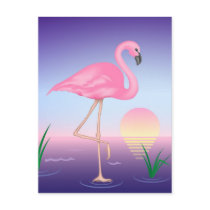 Pink Flamingo Post Card