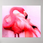 Pink Flamingo posters