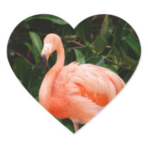 Pink Flamingo  Sticker