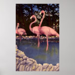 Pink Flamingos, Florida posters