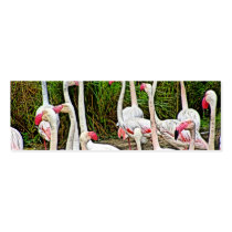 Pink Flamingos Painting Business Card
