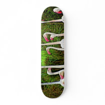 Pink Flamingos Painting Skate Board Decks