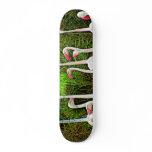 Pink Flamingos Painting skateboards