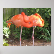 Pink Flamingos Poster Print