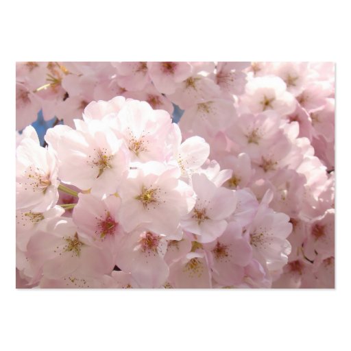 Pink Floral Blossoms Business Cards Unique