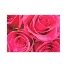 PINK FLORAL ROSES CANVAS PRINT