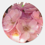 Pink Floral Special Occasion Sticker