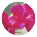 Pink Floral Sticker
