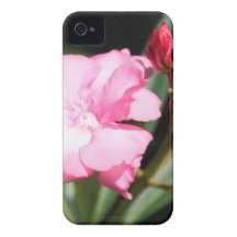 Pink flower #2, Italy iPhone 4 Cover