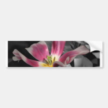 Pink Flower Bumper Sticker