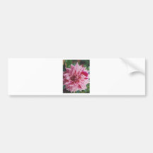Pink flower bumper stickers