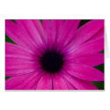 pink flower cards
