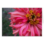 Pink Flower Card