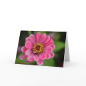 pink flower cards