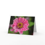 pink flower cards
