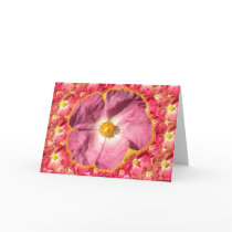Pink Flower Cards