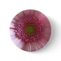 Pink Flower Close Up Big Flower