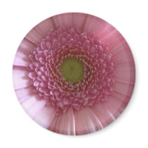 Pink Flower Close Up Big Flower Refrigerator Magnet
