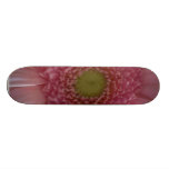 Pink Flower Close Up Big Flower Skateboard