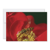 Pink Flower Fly flowers Custom Invitation