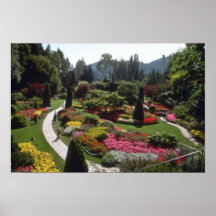 Pink Flower garden flowers Poster