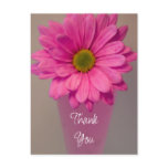 Pink Flower in Vase Thank You Note Postcard