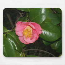 Pink Flower Mouse Pads