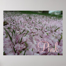 Pink Flower Petals In Grass Poster