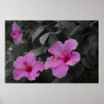 pink flower print