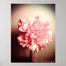 Pink Flower Poster